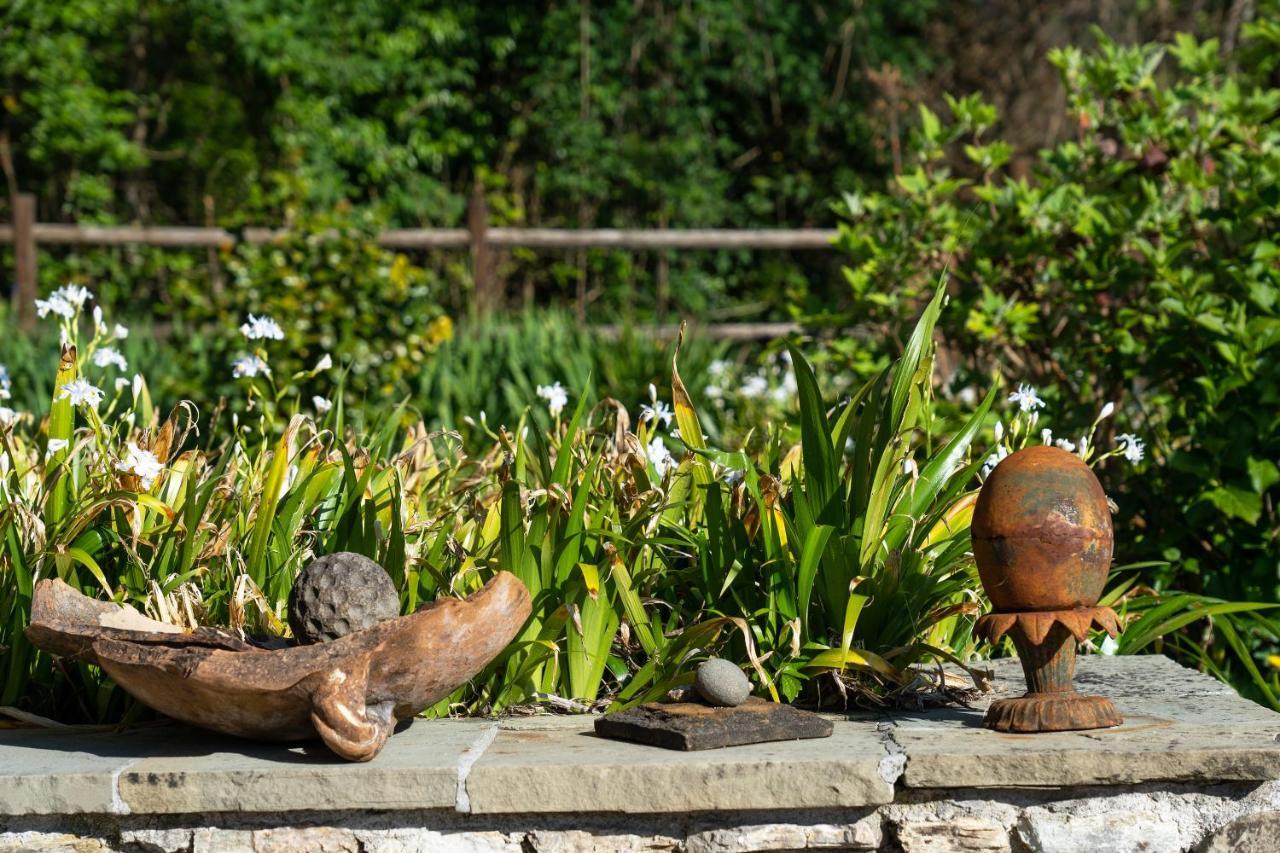 Villa Fenice Country House Borgo a Mozzano Exterior foto